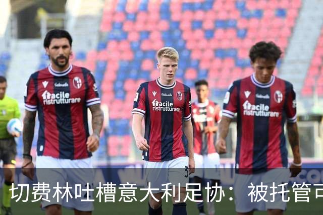 切费林吐槽意大利足协：被托管可不是个好主意